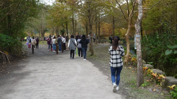 三層坪農塘教育園區登山健行趣1549027