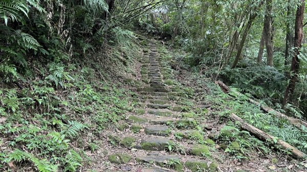 打鐵寮古道-石厝坑山-白石山O型走2551750