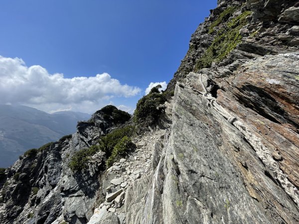 【百岳】奇萊北壁下屏風，驚險刺激的旅程2391989