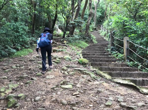 飛鳳山觀日坪連走中坑山388273