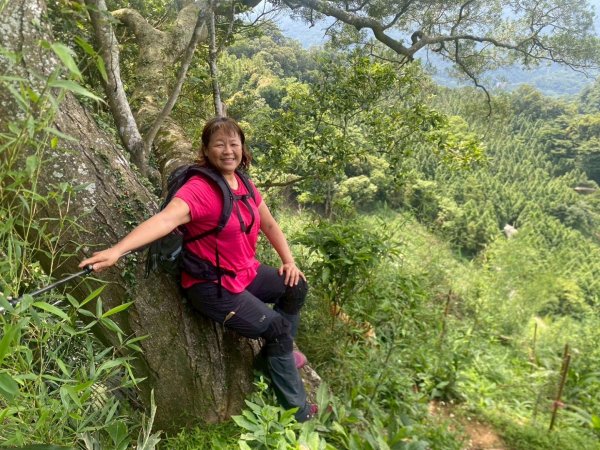 苗栗縣獅潭鄉鳴凰古道O型縱走2803670