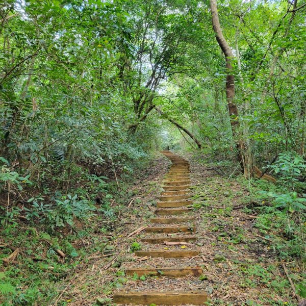 花蓮虎頭山步道1598629