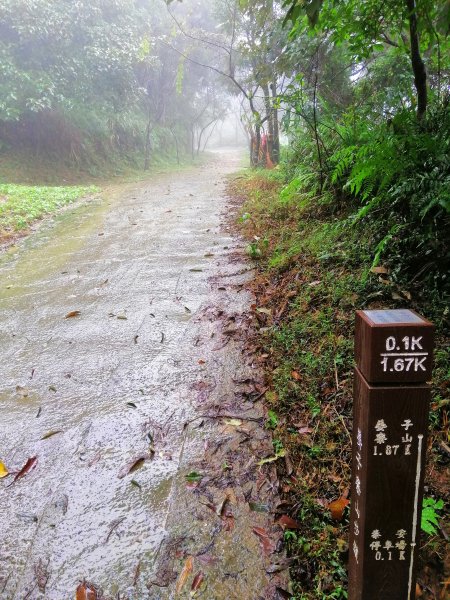 基隆七堵~雨霧中散步。 #小百岳姜子寮山867749
