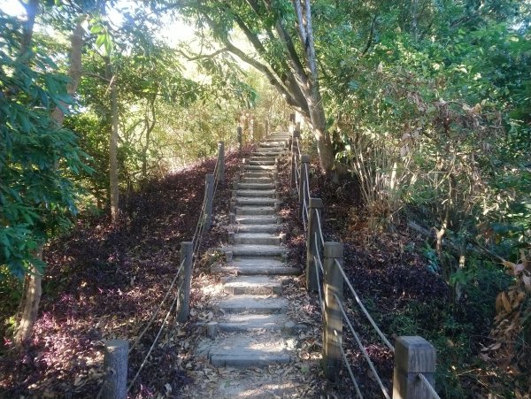新田五星級登山步道-聚興山 小百岳040755658
