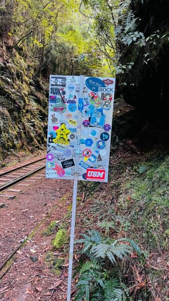 🌈10/11（日）消失的阿里山森林鐵路FB：熊熊趴爬走(富裕登山社)🌈3134747