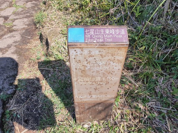 七星山主、東峰登山步道（小百岳）1275235