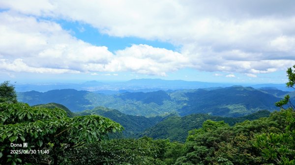 桃園小百岳東眼山(H1212m)2844630