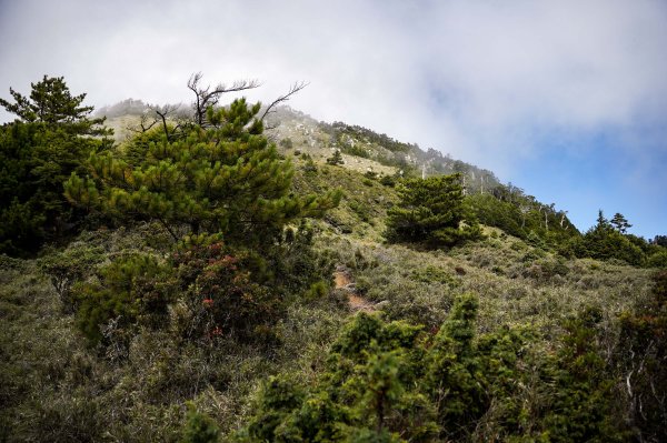 帝王之座-南湖東峰線｜南湖東峰＋陶塞峰＋馬比杉山2884910