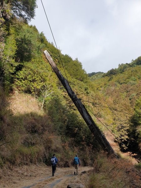 大雪山200林道北三錐山1579154