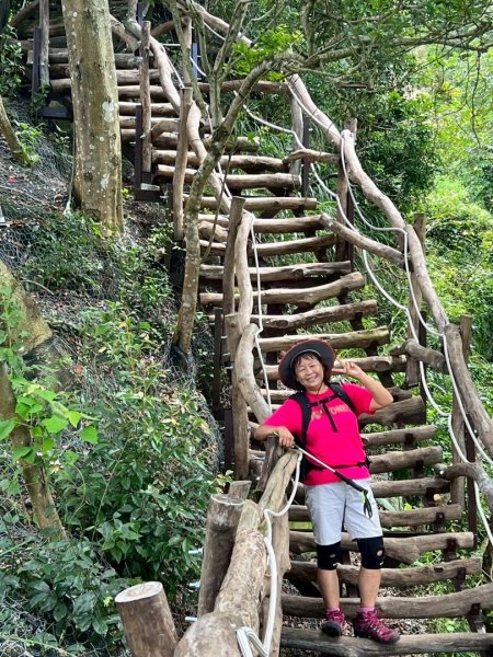 大坑1號和2號步道2826386