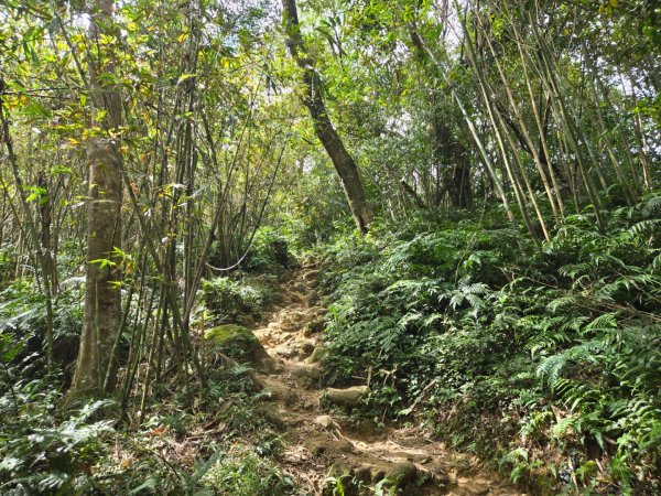 桃園石門山（小百岳）2910058