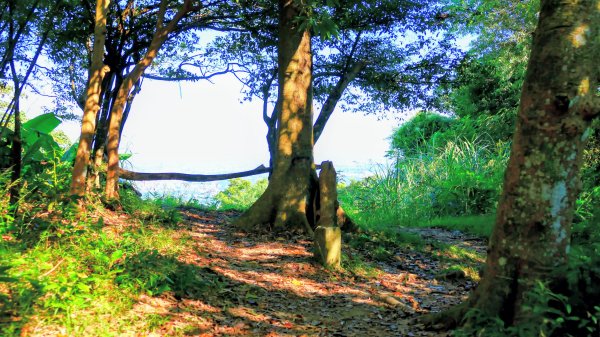 桃園石門山2916126