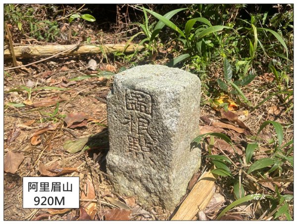 阿里眉山 (日月潭四姝的么妹)2753075