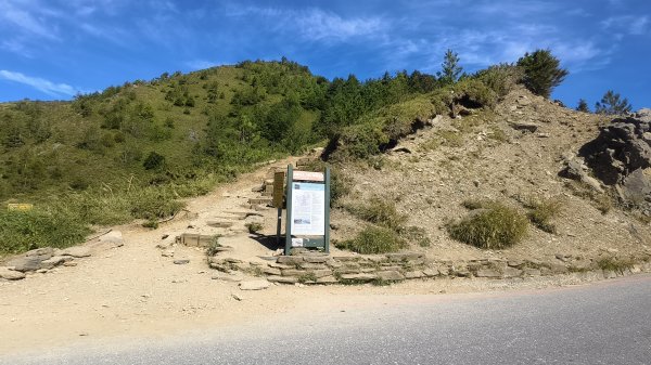 合歡山北峰 小溪營地 鷹角石 合歡北峰名樹2903395