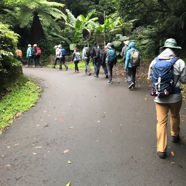 2021 陪公子登山 深坑二格山1555610