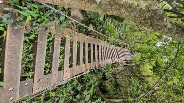 新店小百岳獅頭山+古蹟遺址O走3071932