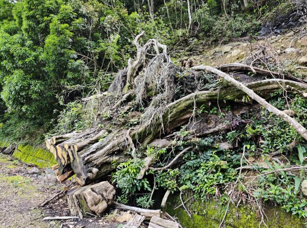 2025_0601 赫威山2802288