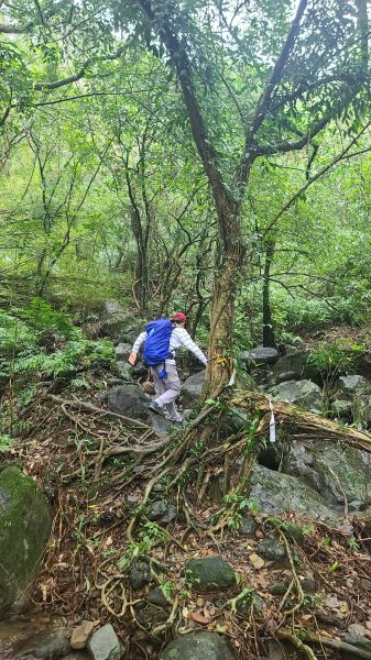 2025-01232淡蘭古道北二段(燦光寮古道到澳底)2696605