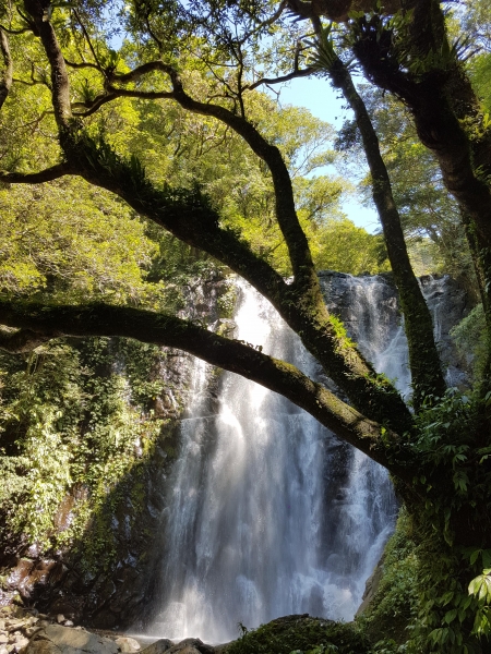 滿月圓國家森林遊樂區78101