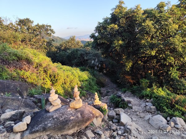 【臺北大縱走 5】碧山巖→忠勇山越嶺步道→金龍產業道路→圓明寺步道→鄭成功廟→潛園→格物台→劍潭古寺2959018