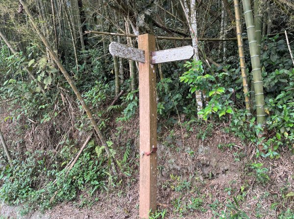 2023_0429_挑筍古道2138249