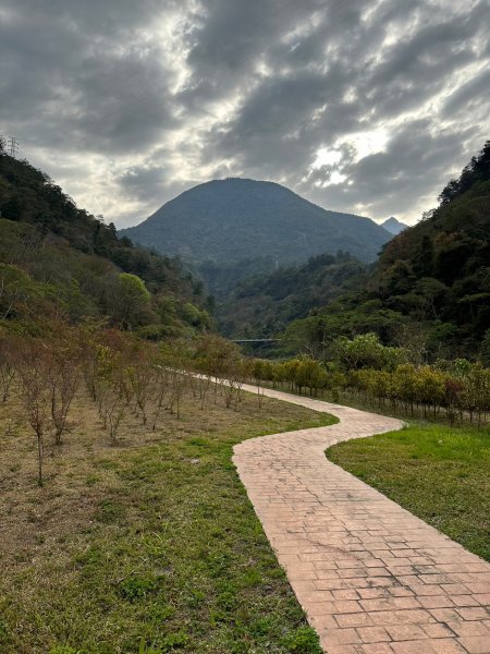 谷關七雄老大八仙山真不是蓋的2062901