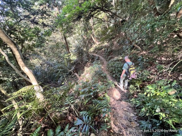 【新竹＋苗栗】猿獅縱走2989073