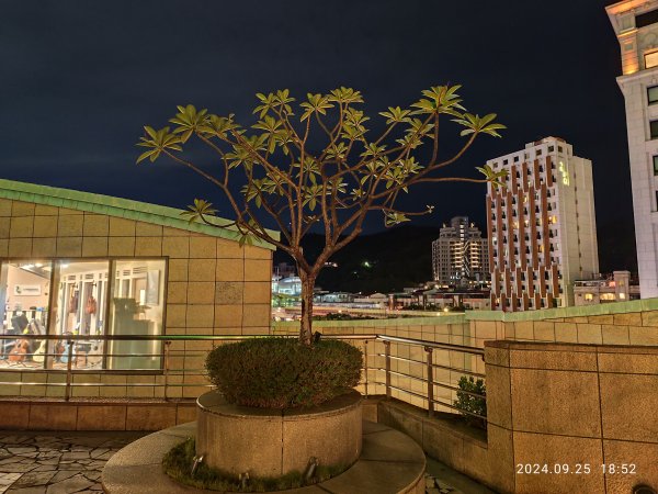 璀璨耀眼的夜景 - 大直美麗華、大稻埕、大港墘公園【臺北健走趣】【健走複利】2604587