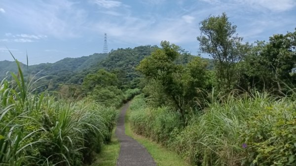雙溪區嶺頭觀日步道-西九份坑山-西九份坑山前峰-雙溪車站3063076