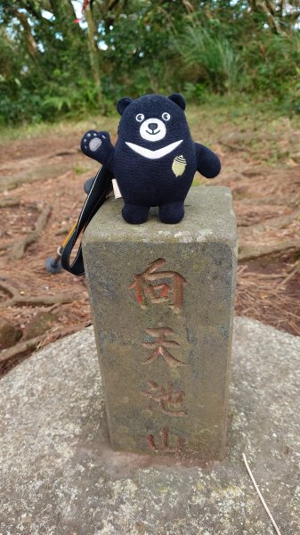 20260125 陽明山前後山健行(無極天元宮~山仔頂步道.向天池.向天山.面天山.二子坪)2997981