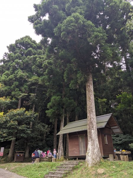 東眼山國家森林遊樂區1056008