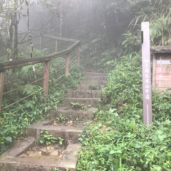 大凍山、雞籠山環行1076510