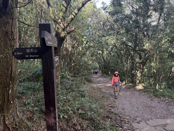 二子坪步道 經遊憩區 上面天山 202511082935045