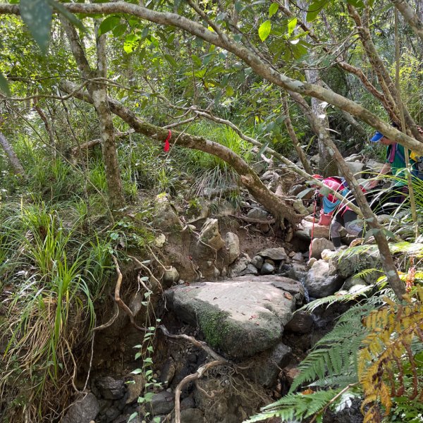 20251012_八里灣山（花蓮小百岳）2941295