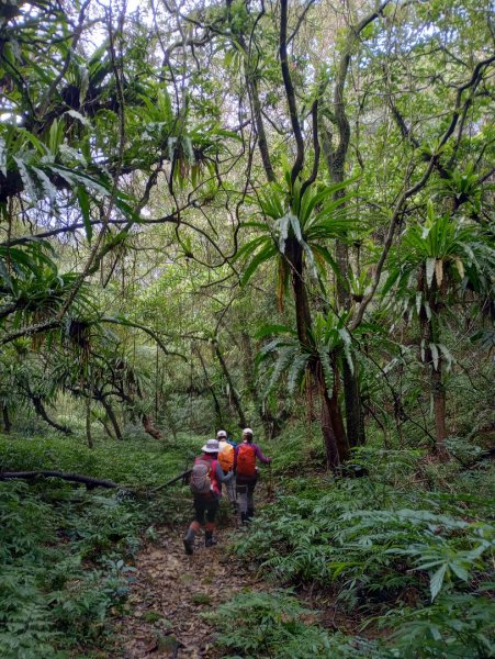 雷公埤山-鱷魚島觀景-小格頭獅頭山2001508