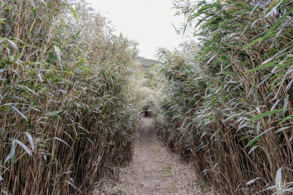 [台北]大屯山2693387