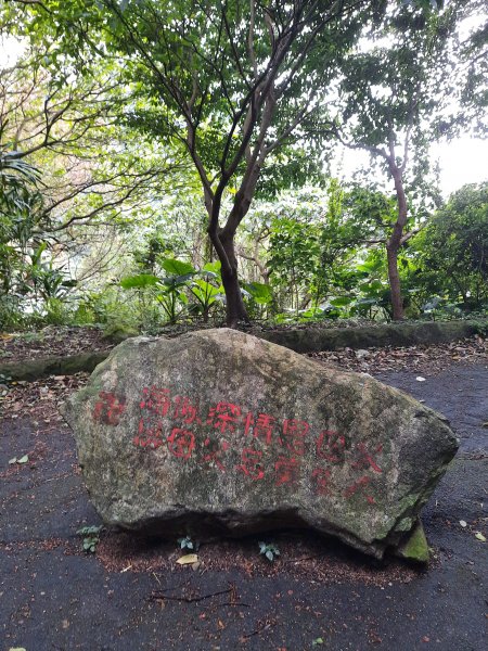 2023/01/02 八里觀音山(小百岳)硬漢嶺2000603