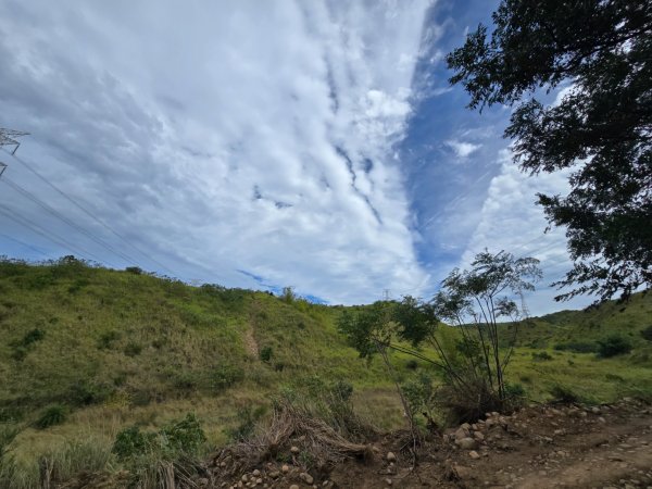 龍井-竹坑-南寮登山古道2651038