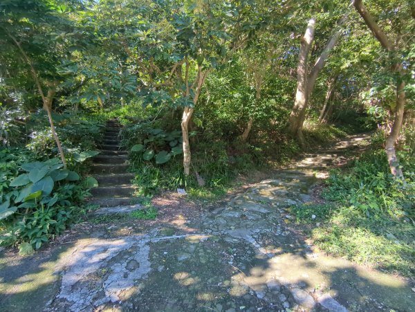 2026.01.25－微笑山線：【天上山系】烘爐地土地公段2994575