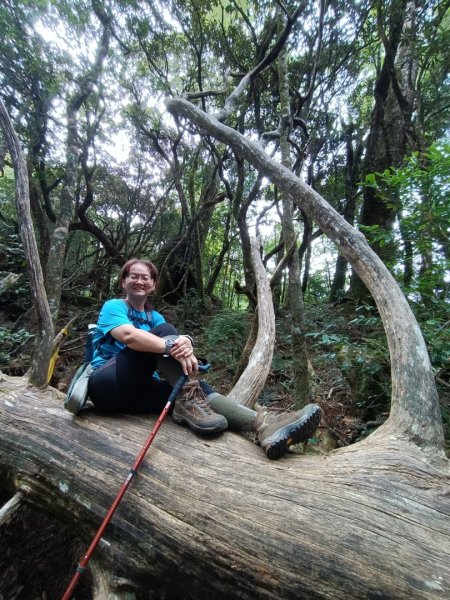 低陸山-嘎拉賀神木1765099