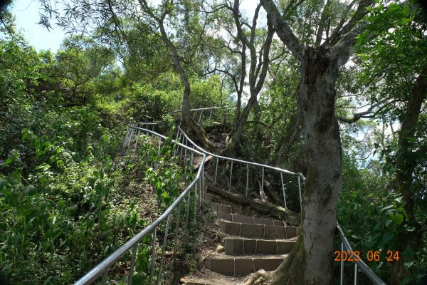 彰化 田中 田中森林登山步道2198474