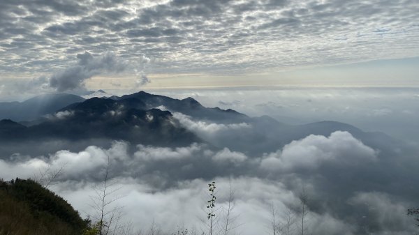 20250119二延平步道2716354
