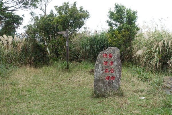 獅公髻尾山3086294
