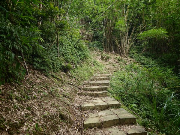 [淡蘭古道] 2026_0531 北路第四段_金字碑古道(下)-金字碑3071093
