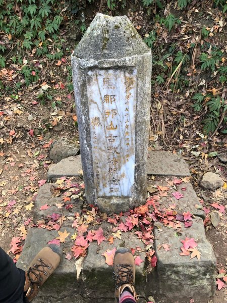 馬那邦山登山步道 NO 37 / 苗栗縣大湖鄉--我的第13座小百岳1598256