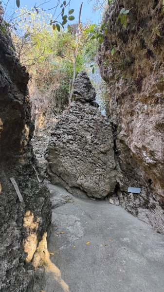 尋仙、鑽洞、啖肥雞3002763