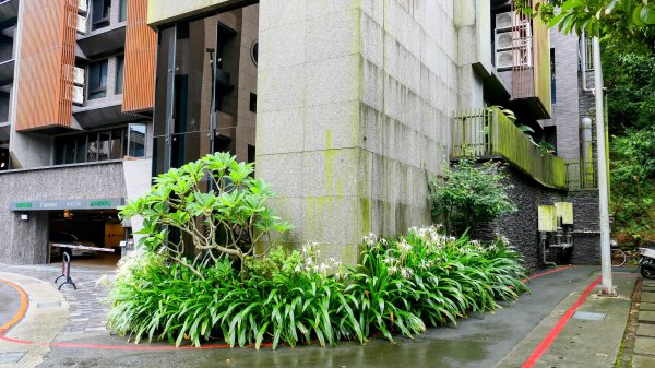 大尖山步道2833776