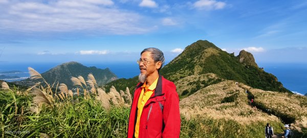 #半屏山 #芒花 11/262946041