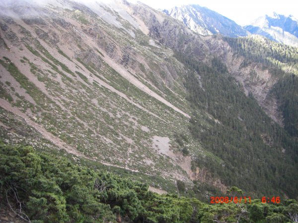 玉山暨阿里山之旅200806091954488