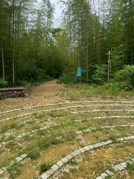 嵐山再古坑。五元兩角 木馬古道2806183